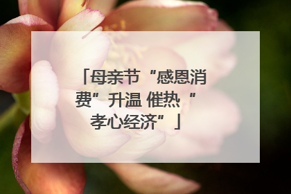 母亲节“感恩消费”升温 催热“孝心经济”